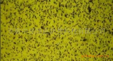 长期供应高效强力昆虫信息素粘虫板