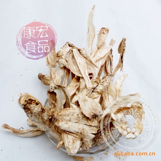 供应食用菌---鸡腿菇（鸡腿蘑）Coprinus comatus