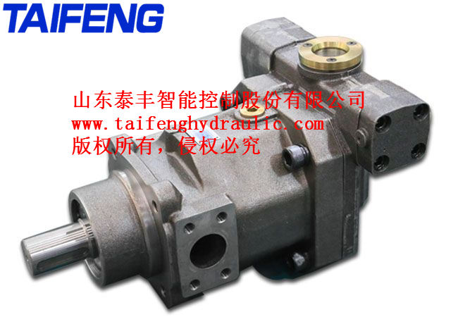 泰丰智能TFB1V80系列轴向柱塞泵