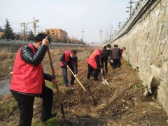 印台：凝聚合力 扎实推进新冠肺炎疫情防控时期农村人居环境整治义务