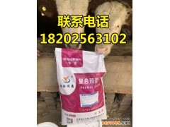 肉牛预混料那个品牌好 肉牛预混料