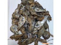 高蛋白鱼粉的价格-馨兰饲料原料(优质商家)