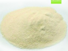 海参肽贴牌 海参肽ODM海参肽生产厂家 恒康海参肽