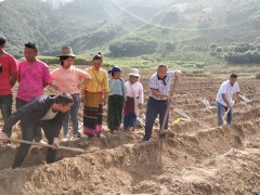 县甘蔗站在布朗山召开“三区”人才技术效劳现场培训会