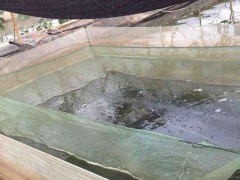 厂家生产 养殖网箱 水产养殖网  养殖网价格 泥鳅黄鳝网箱  定做