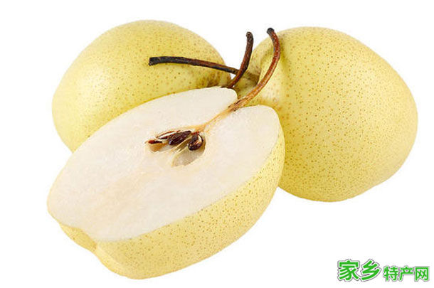 赵县雪花梨 -石家庄赵县特产