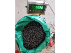 精选越南进口天然无芯特级白莲子 饱满 已磨皮 通芯率高