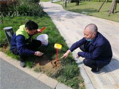 指点红火蚁防控  保证市民人身安全