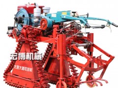 宏博 收大葱的机器 大葱收获机收割机大葱收获机供应大葱收获机