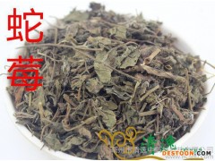 蛇莓草 中药材 蛇盘草 蛇果草 龙吐珠 抓药 药店供货