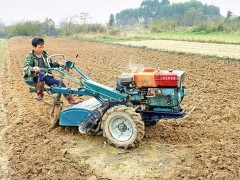 钦南：蔬菜基地忙停工 市场需求有保证