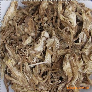 中药材草药 < 当归>片