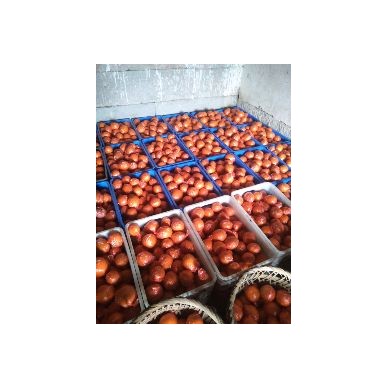 [供]供应梨橙,果品汁多香甜味纯