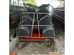 金山区兔笼-兔笼设计-云蒙湖笼具厂(优质商家)