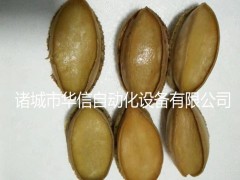 鲍鱼烘干机 鲍鱼烘干机厂家 鲍鱼烘干机价格优惠 环保耐用鲍鱼烘干机