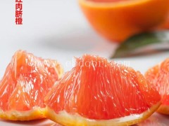 柑橘树苗品种-襄阳柑橘树苗-果树茶叶研究所(查看)