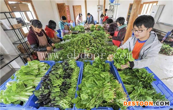 蔬菜配送-祥茂膳食管理-蔬菜配送公司