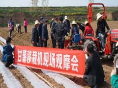 宝鸡鹤壁市农科院举行“甘薯机械化移栽”现场观摩会 -宝鸡鹤壁市农业农村局