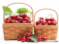 苏州食品配送-苏州万色星辰食品配送-冷藏食品配送