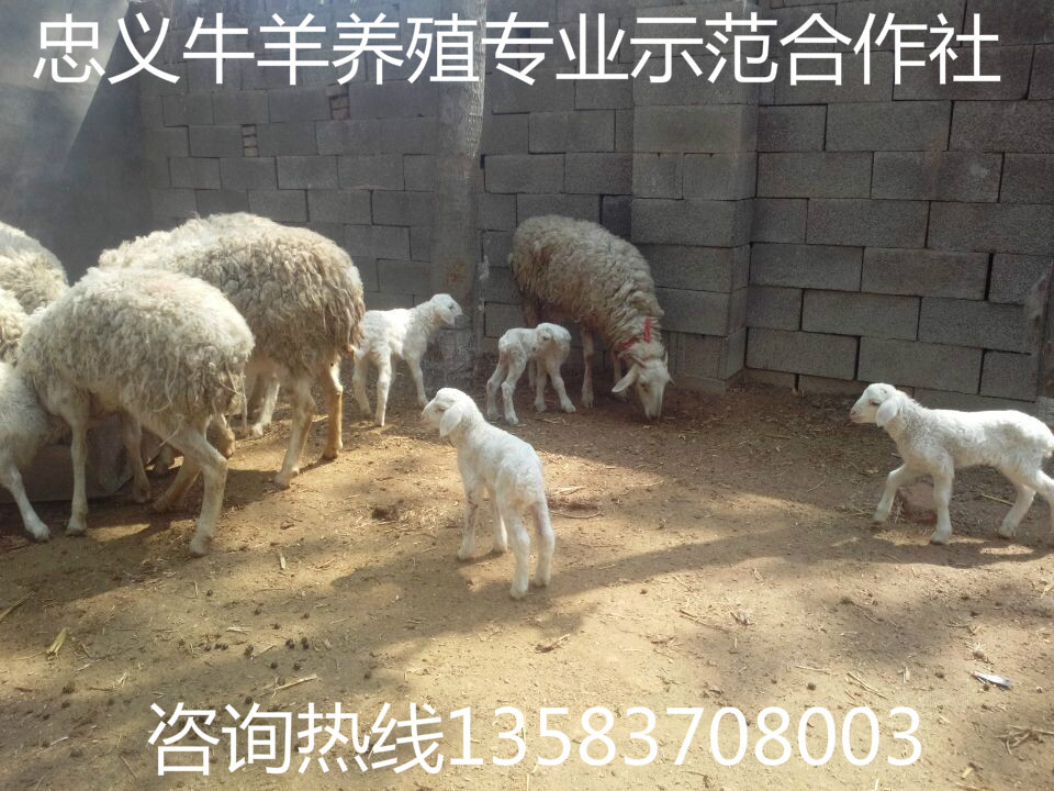 QQ图片20140602155709