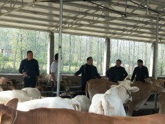 谷城县“五好” 养殖示范场引领提升全县养殖程度