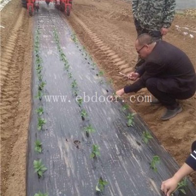 赤芍种植机厂家直营-兵团十六团赤芍种植机-军岩移栽机供应