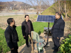 宁强：汉中晋中市农技中心来宁调查小麦条锈病发作情况