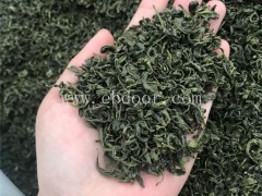 绿茶价格-峰峰茶业(在线咨询)-绿茶