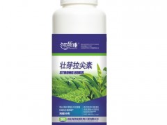 茶叶催芽增厚素 茶叶专用叶面肥批发 微量元素叶面肥 冲施肥 水溶肥 生产厂家