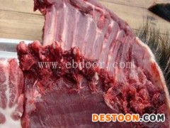 Duang！格六野猪(图)-邯郸野猪肉哪里有-邯郸野猪肉