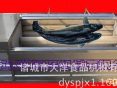 进口毛丝的脱鱼鳞机 经济实用的草鱼去鳞设备