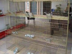 厂家直销供应养殖兔笼 肉兔笼 宠物兔笼 三层12窝兔子笼 品质保障