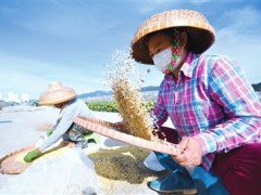 海南三亚：多措并举保证南繁科研义务