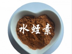 水蛭素 水蛭提取物 800IU 蚂蟥提取物 优质水蛭素原料粉 高含量原料 厂家现货