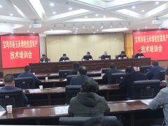 宝鸡鹤壁市组织召开春玉米增密度提单产技术培训会-宝鸡鹤壁市农业农村局