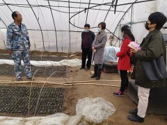 西安：晋中市农机总站赴鄠邑区反省指点春季农机消费义务