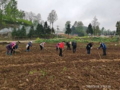 “技术培训+实验基地树立”促进农村畜牧养殖业展开