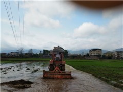 连城县：水稻工厂化育秧助力粮食产能提升