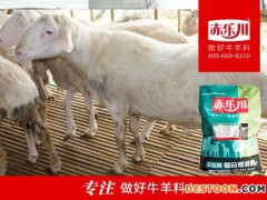 赤乐川Y640 肉羊速肥预混料