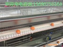 河南中州牧业肉鸡笼阶梯式   养鸡肉鸡笼设备