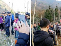 朝天区多措并举抓实桑树冬管义务_广元市农业农村局