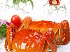 其他特种养殖动物