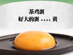 无污染鸡蛋-兰州鸡蛋-【浦江茶艺轩】