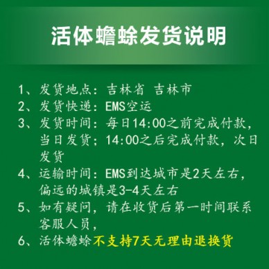 蟾蜍的做法  活体富硒蟾蜍10只装，富硒生态环境养殖，活体癞蛤蟆空运包邮