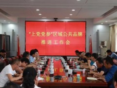 市农业乡村局召开上党党参区域公用品牌规划推进任务会