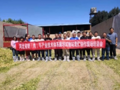 廊坊沧州市畜牧站技术下乡，现场展开培训