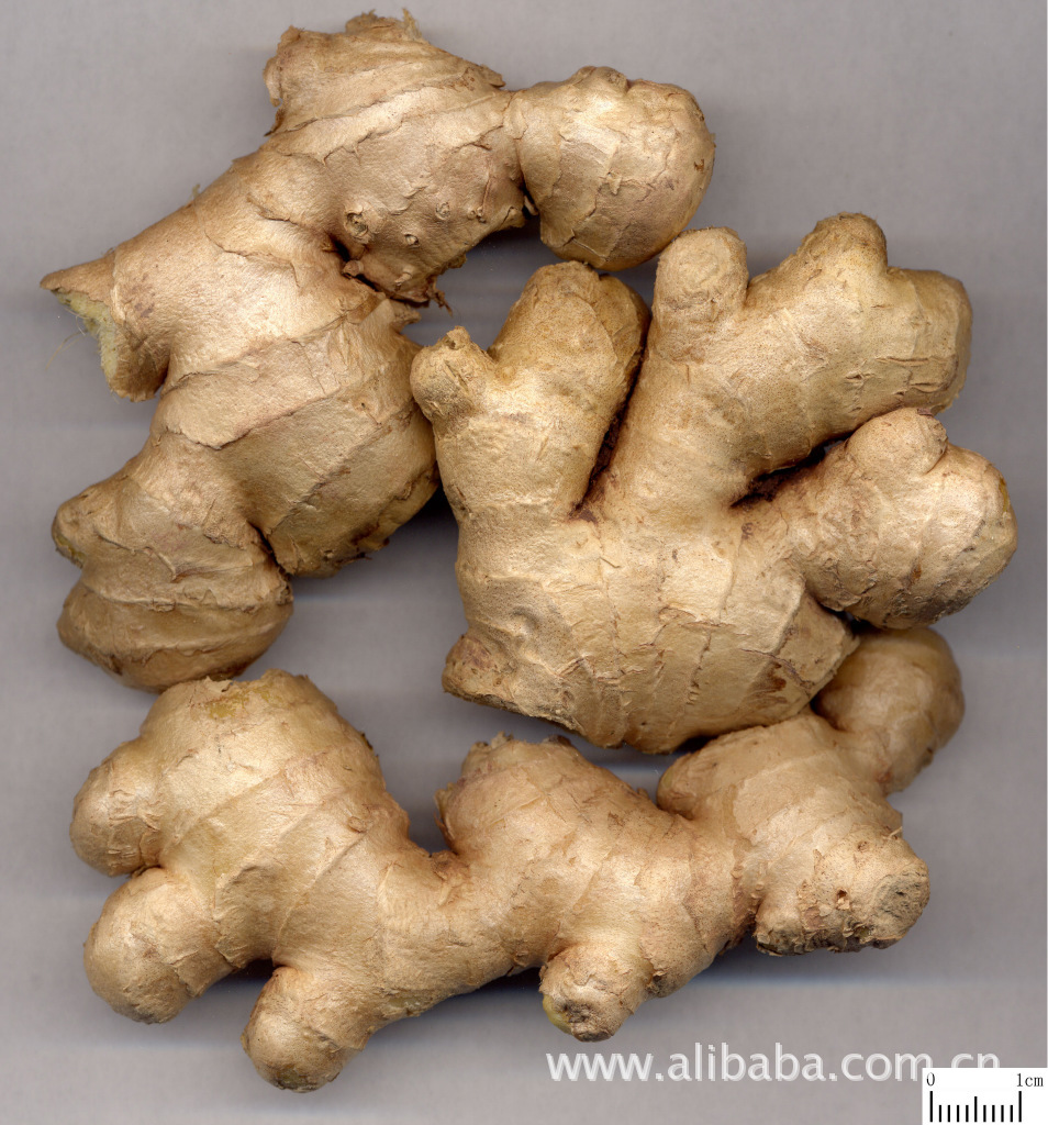 生产厂家供应姜辣素--优质生姜提取物