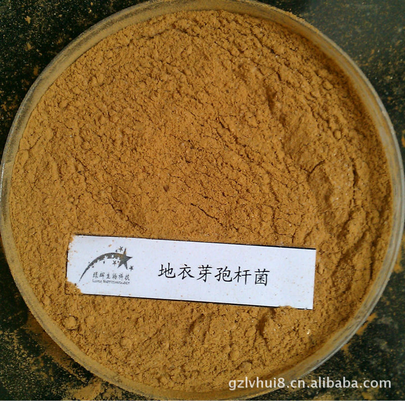 1000亿/克地衣芽孢杆菌