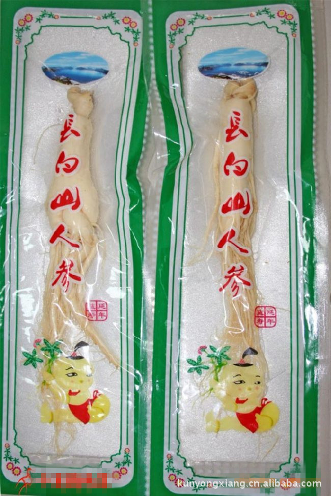 大量批发供应单枝人参